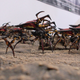 Image for article titled The Seven and a Half Rules for Making Scary Aliens